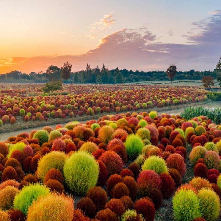 华凯海山生态公园：上海乐高乐园酒店宾客的完美自然度假胜地