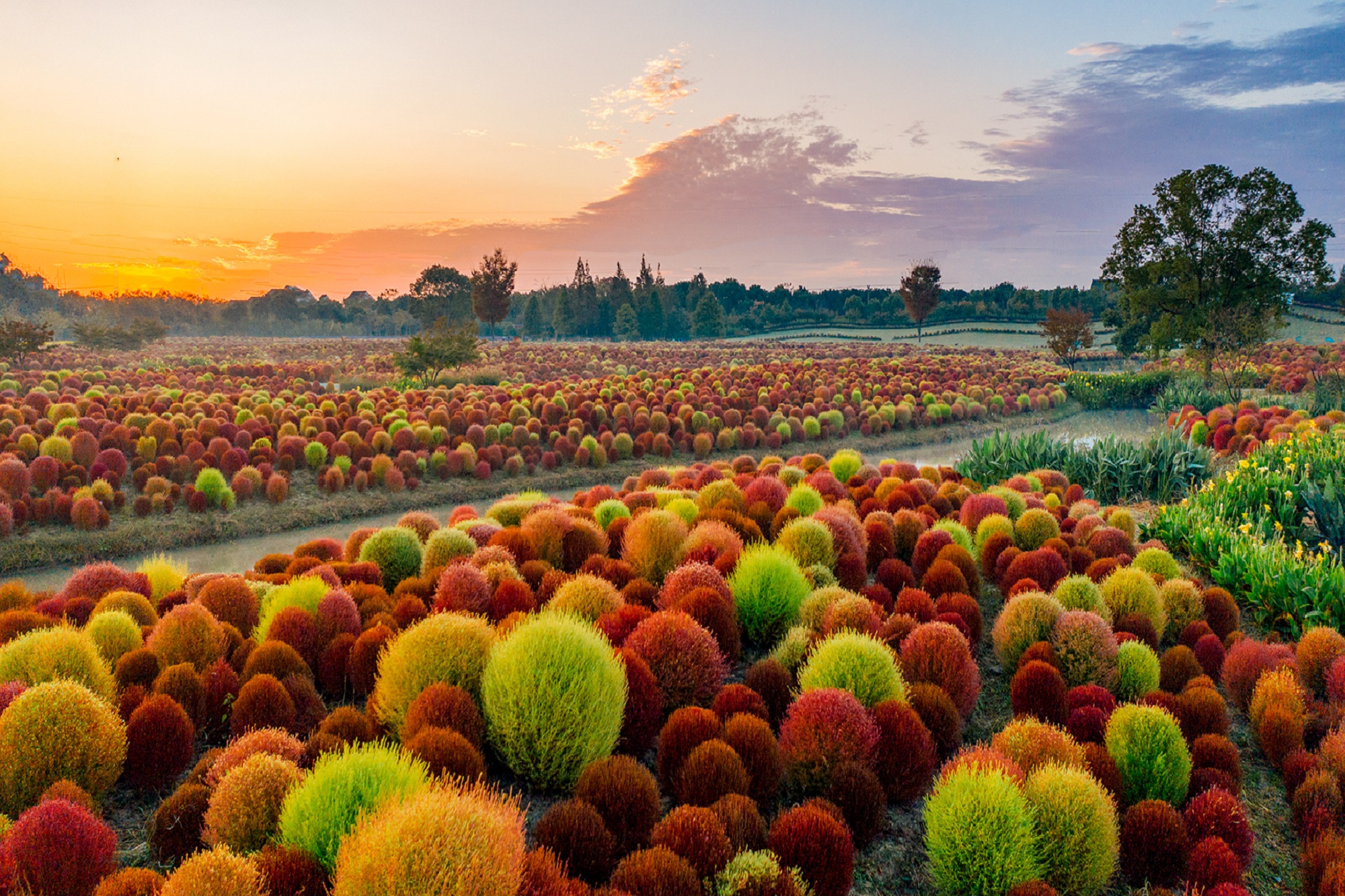 华凯海山生态公园：上海乐高乐园酒店宾客的完美自然度假胜地